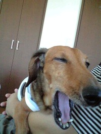 ～お知らせ～ 2012/01/03 10:13:41
