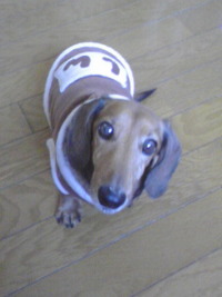 ありがとうございました！！ 2011/12/29 17:40:38