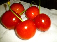 ご褒美に‥ 2012/05/19 05:13:50