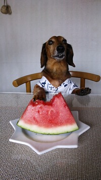 夏だね～♪ 2012/07/31 09:43:54