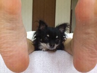 本日のお客様♪ 2012/06/11 13:35:01