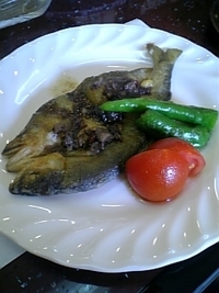 ６匹め♪ 2007/07/29 13:24:56