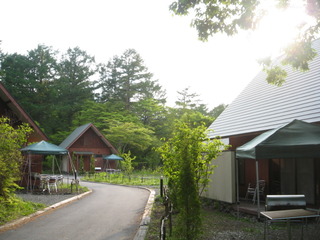 緊急値下げ２