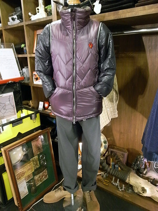 ダイナモ人気です！