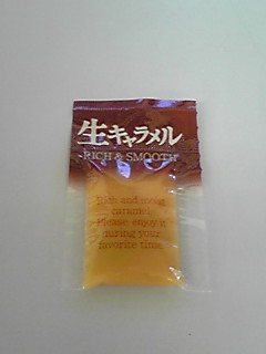 「からしですか」？？？