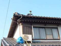 台風被害の調査中