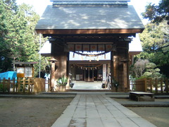 新年