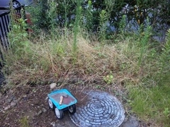 草取りびより