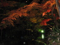秋の小國神社は幻想的