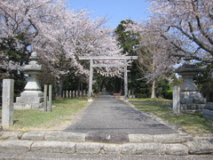 新介護保険料