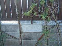 工事しています