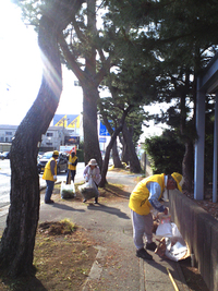 姫街道松並木清掃ボランティア