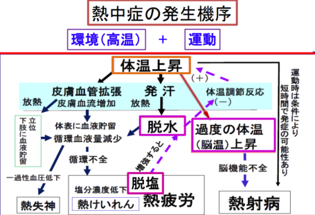 熱中症対策を万全に！