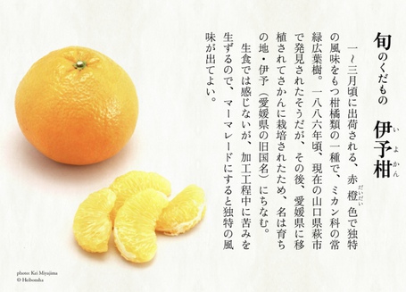 立春　第二侯　鶯鳴く