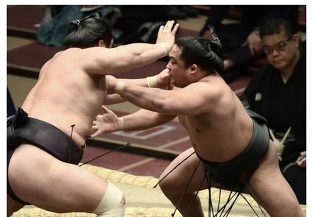 大相撲、焼津出身の翠富士が技能賞！