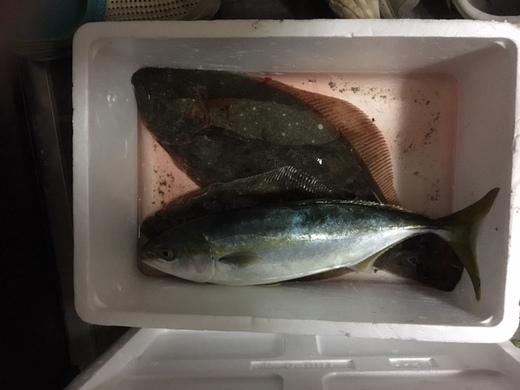 浜岡サーフで！！