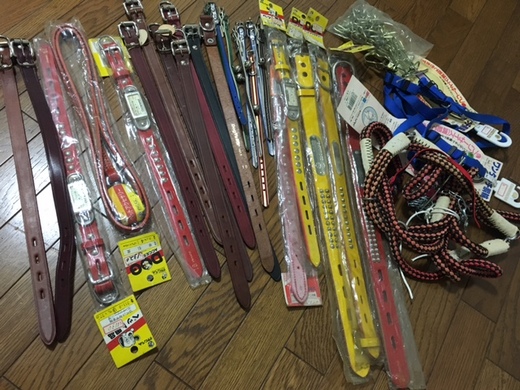 ワンコの首輪お譲りします！