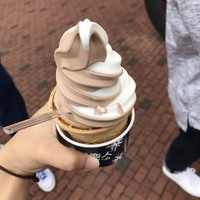 白い恋人パークより 2018/08/10 22:23:37