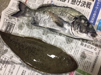 天然うなぎ異常アリ… 2018/06/30 23:48:49