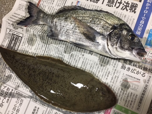 天然うなぎ異常アリ…