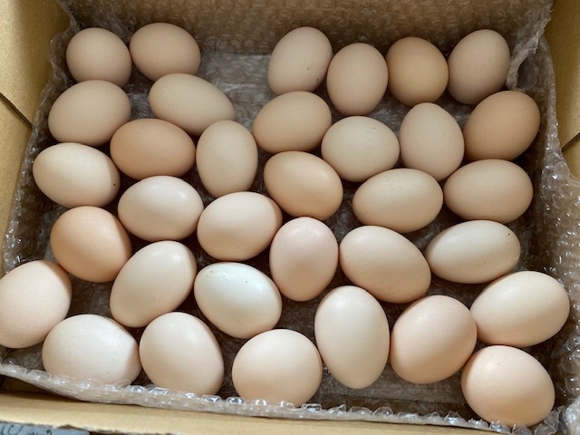 優しいオトコから
