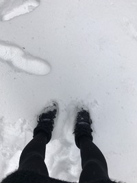 雪にはしゃぐハタチの画 2018/01/25 20:27:45