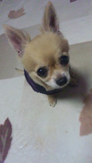 Happy Birth Day