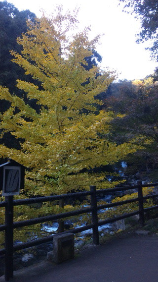 滝巡り〜
