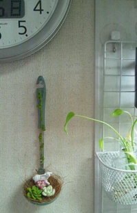 よいこは食べてはいけません。(笑) 2014/05/25 16:28:55