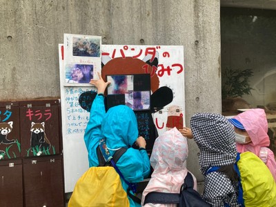 雨降り動物園だ！ビーバー！