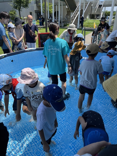 2024/7/21 ビーバー隊隊集会　さかなは友だちビーバーにんじゃ