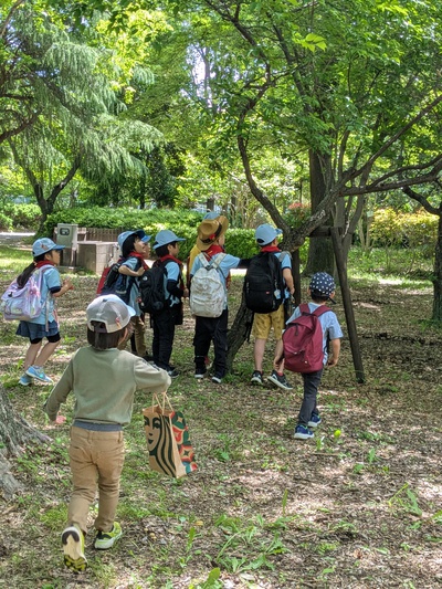2025/5/11　ビーバー隊隊集会　ビーバーのたからさがし