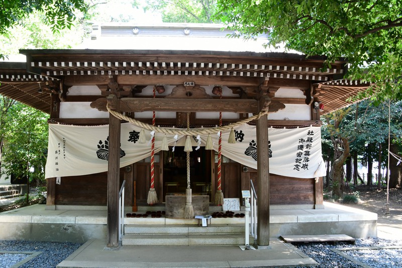 8年ぶりに命を吹き込まれた巨大「龍神」見物
