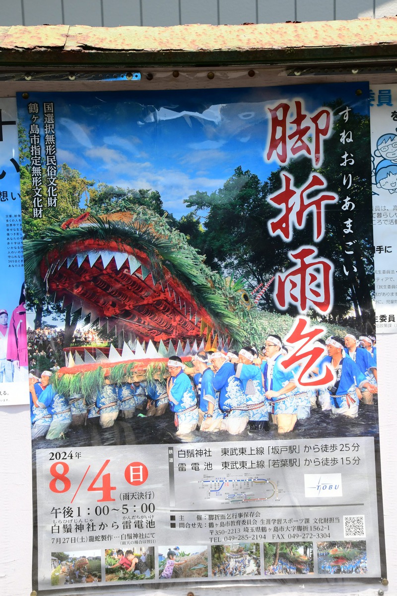 8年ぶりに命を吹き込まれた巨大「龍神」見物