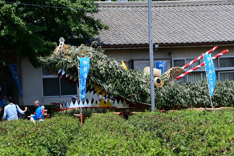 8年ぶりに命を吹き込まれた巨大「龍神」見物