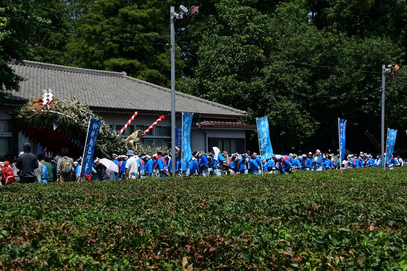 8年ぶりに命を吹き込まれた巨大「龍神」見物