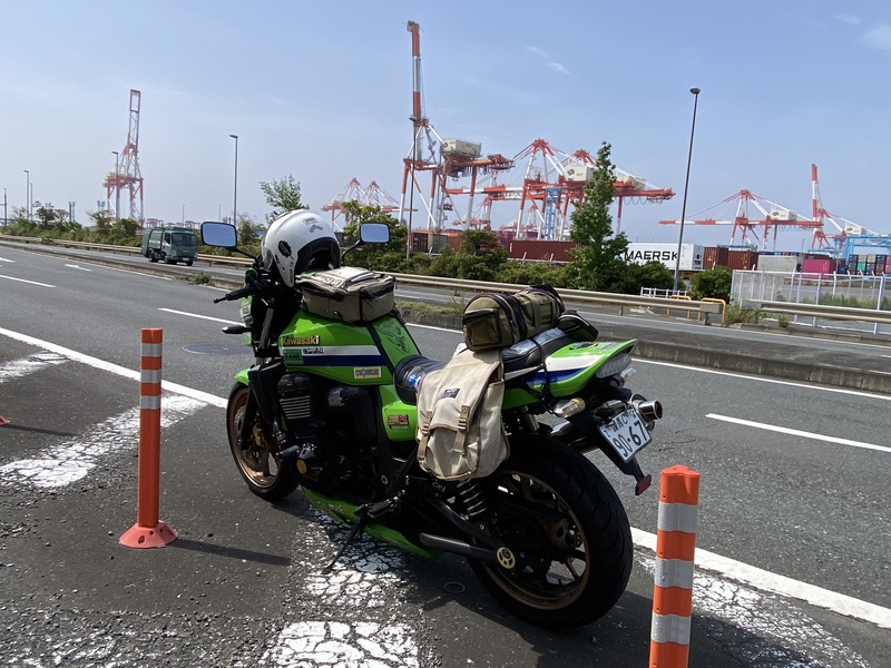 「コロナ」の里帰り(その2)