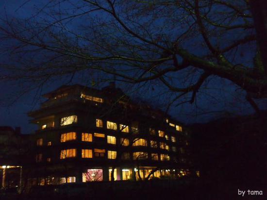 夜の小雨の箱根　通りすがりのスナップフォト　ＮＯ２