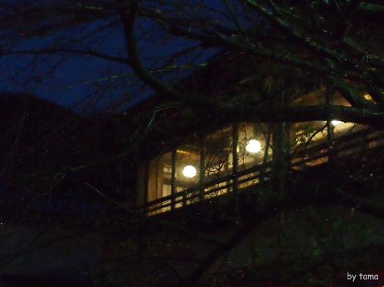 夜の小雨の箱根　通りすがりのスナップフォト　ＮＯ２