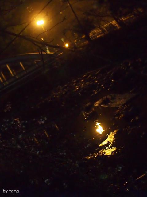 夜の小雨の箱根　通りすがりのスナップフォト　ＮＯ２