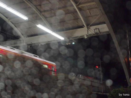 夜の小雨の箱根　通りすがりのスナップフォト　ＮＯ２