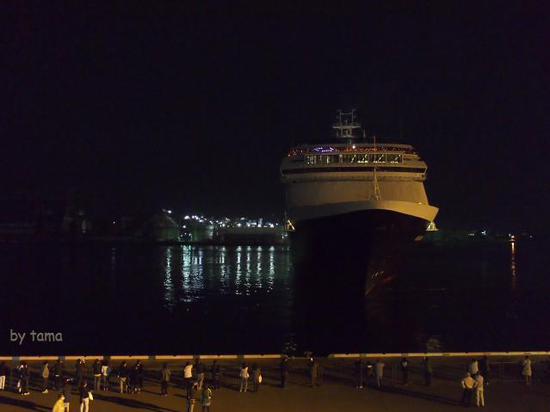 夜の清水港　客船フォーレンダム　お見送り♪