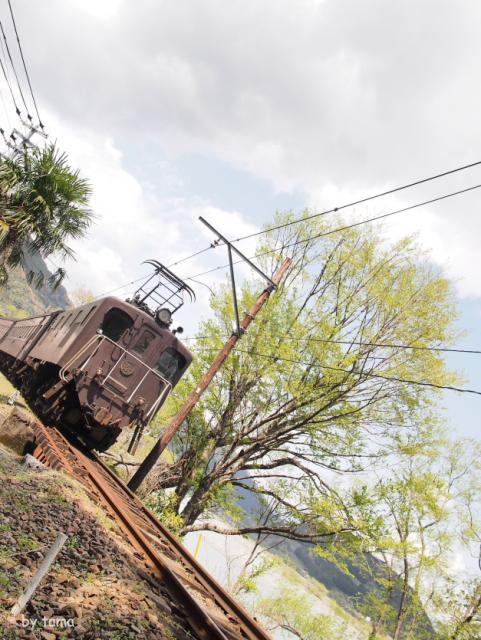 のどかな風景　桜とＳＬフォト＆動画＆パノラマ　大井川鉄道　ＮＯ３