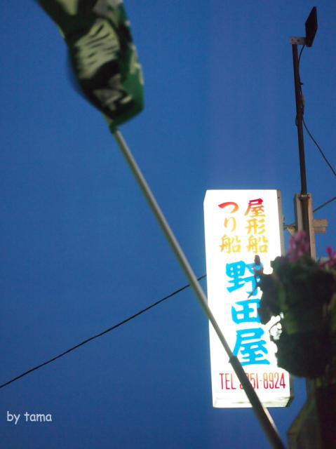 桜のシーズンの屋形船　夜の隅田川＆スカイツリー　スナップショット