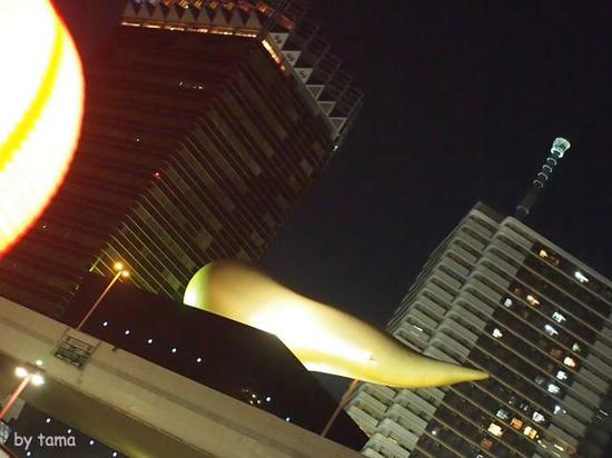 桜のシーズンの屋形船　夜の隅田川＆スカイツリー　スナップショット
