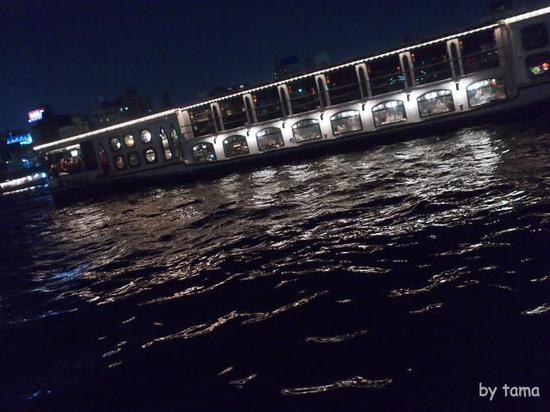 桜のシーズンの屋形船　夜の隅田川＆スカイツリー　スナップショット