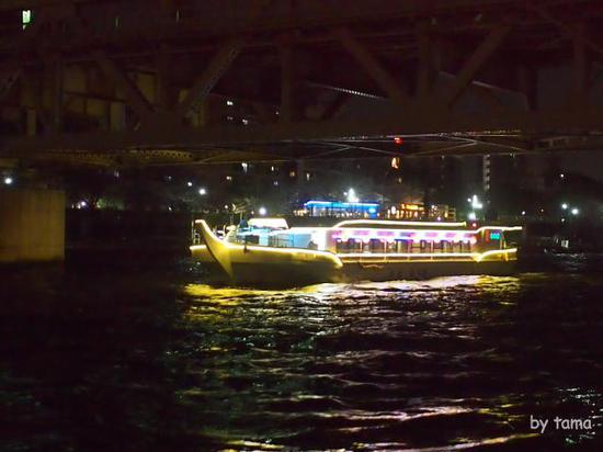 桜のシーズンの屋形船　夜の隅田川＆スカイツリー　スナップショット