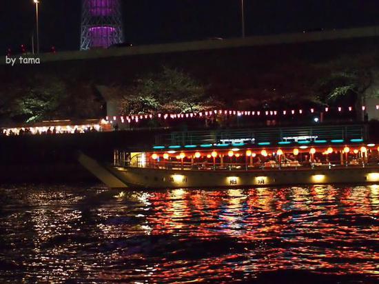 桜のシーズンの屋形船　夜の隅田川＆スカイツリー　スナップショット