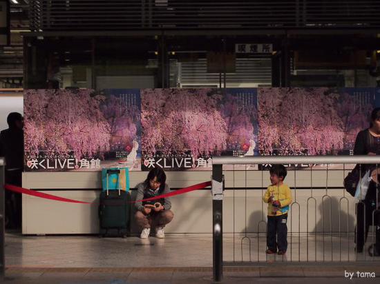 東京駅　東北・山形・秋田・上越・長野新幹線ホーム