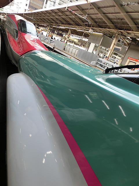 東京駅　東北・山形・秋田・上越・長野新幹線ホーム